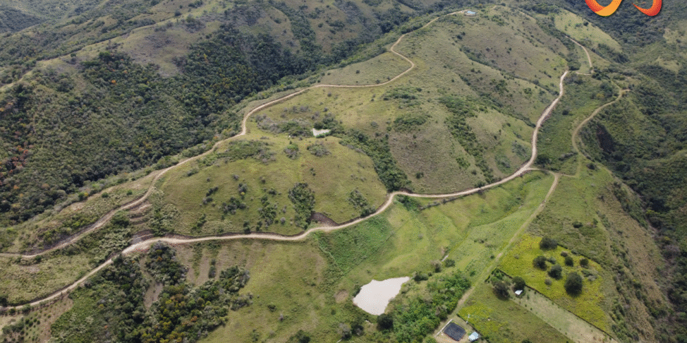 Miradores de Campo Amor