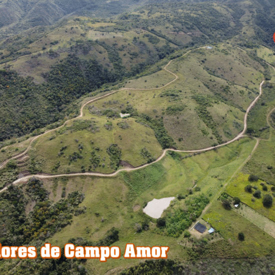 Miradores de Campo Amor