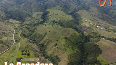 la creadora portafolio