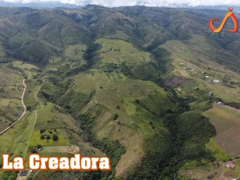 la creadora portafolio