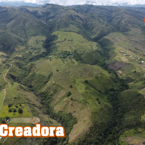 la creadora portafolio
